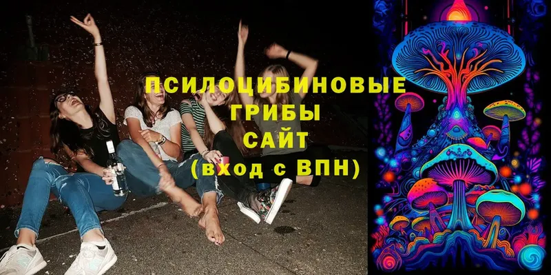 omg   Петропавловск-Камчатский  Галлюциногенные грибы Psilocybine cubensis 